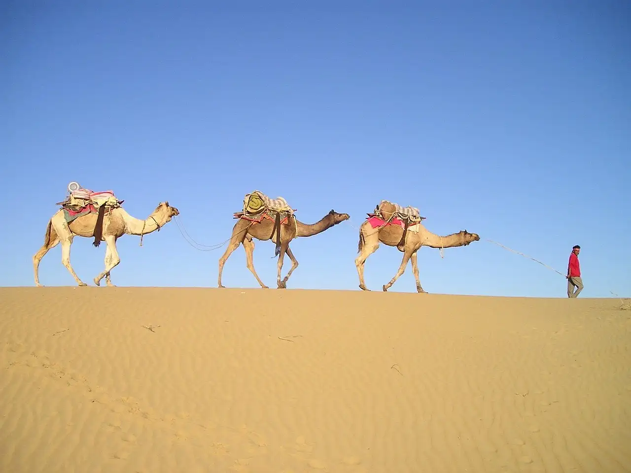 Caravan met enkele bedden occasion kopen | Ruim aanbod